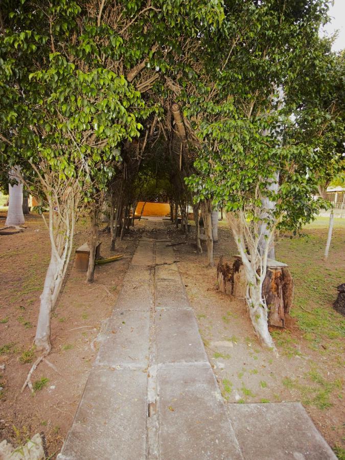 Hotel Nudista - Luz De Luna Nude Tehuixtla Exteriér fotografie